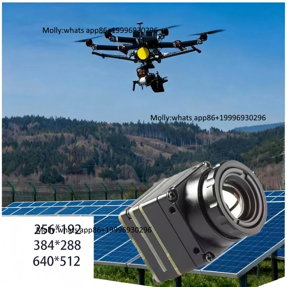 Mini FPV Thermal Camera Module - Thermal Camera Type C 384X288 评论和价格